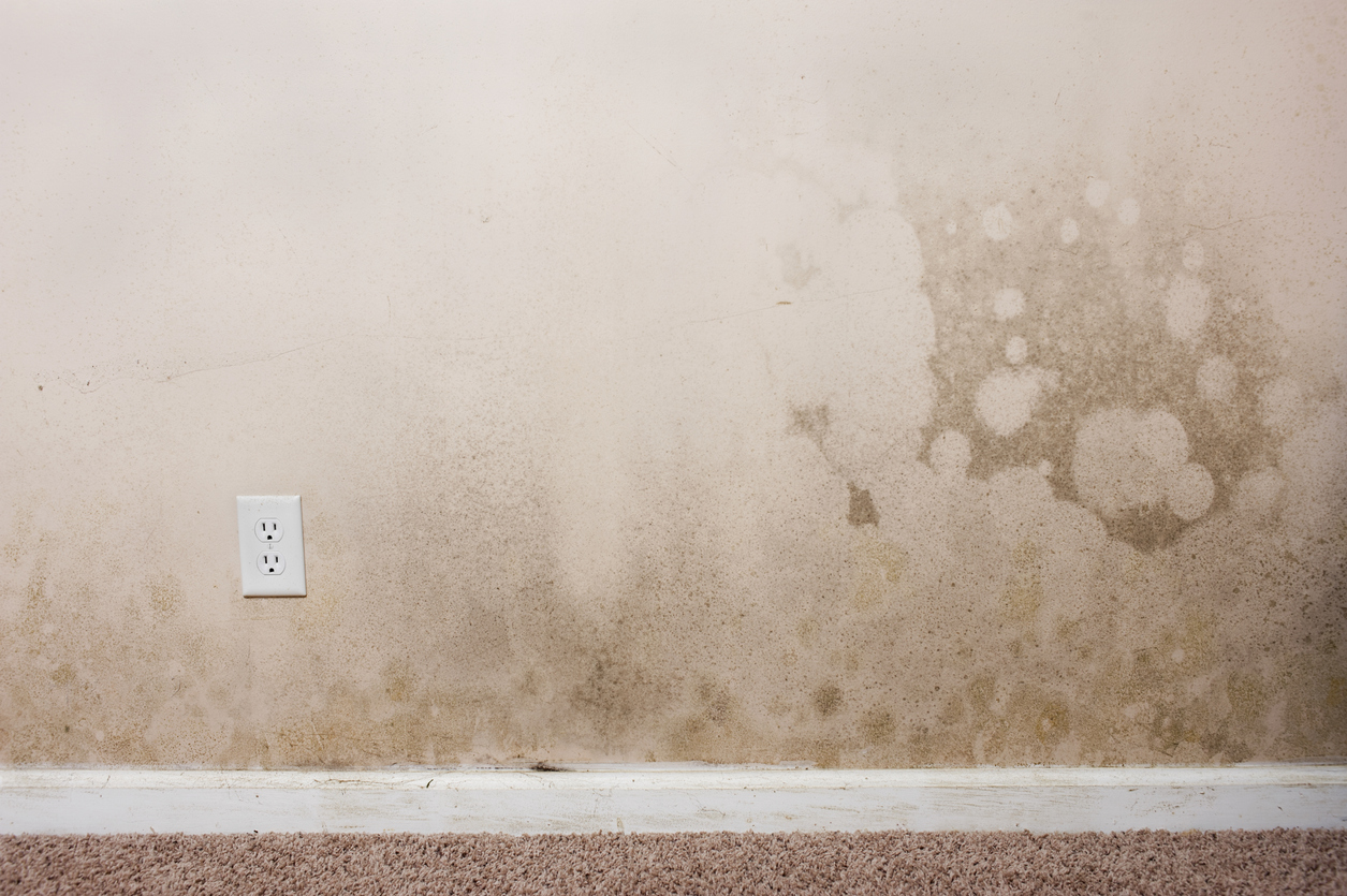 https://handymanconnection.com/wp-content/uploads/2021/05/iStock-185010276.jpg